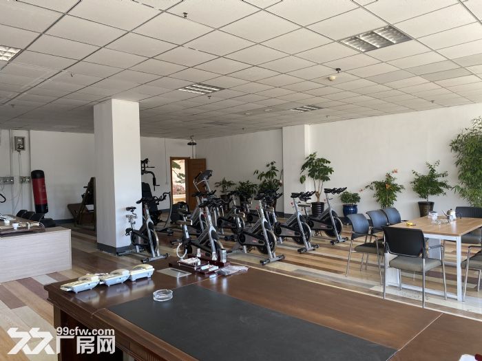 （非中介）出租保稅區(qū)辦公室、廠房、倉庫-圖（1）