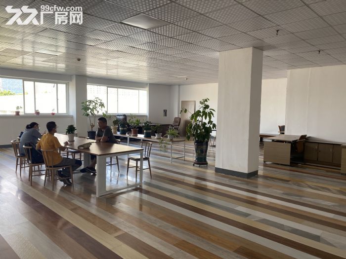 （非中介）出租保稅區(qū)辦公室、廠房、倉庫-圖（3）