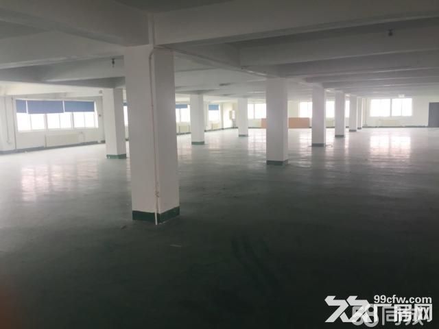 （非中介）出租保稅區(qū)辦公室、廠房、倉庫-圖（6）