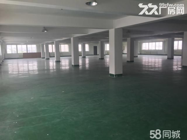 （非中介）出租保稅區(qū)辦公室、廠房、倉庫-圖（7）