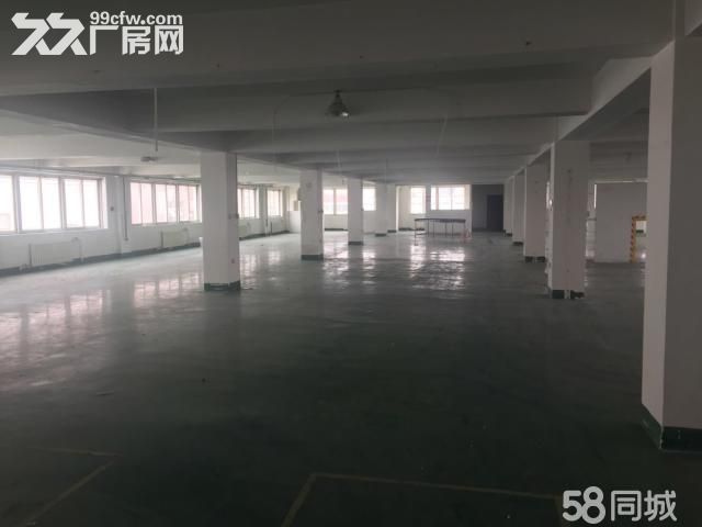 （非中介）出租保稅區(qū)辦公室、廠房、倉庫-圖（8）