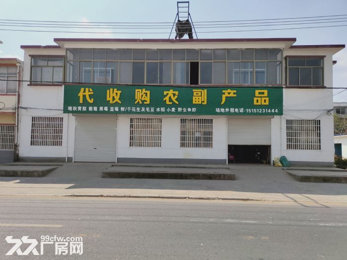 水果收購商?鮮/干花生收購商-圖（1）