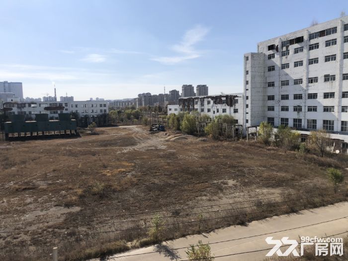 大連全盛業玉米開發有限公司破產清算項目-圖(2)