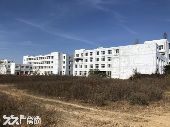 大連全盛業玉米開發有限公司破產清算項目-圖(3)