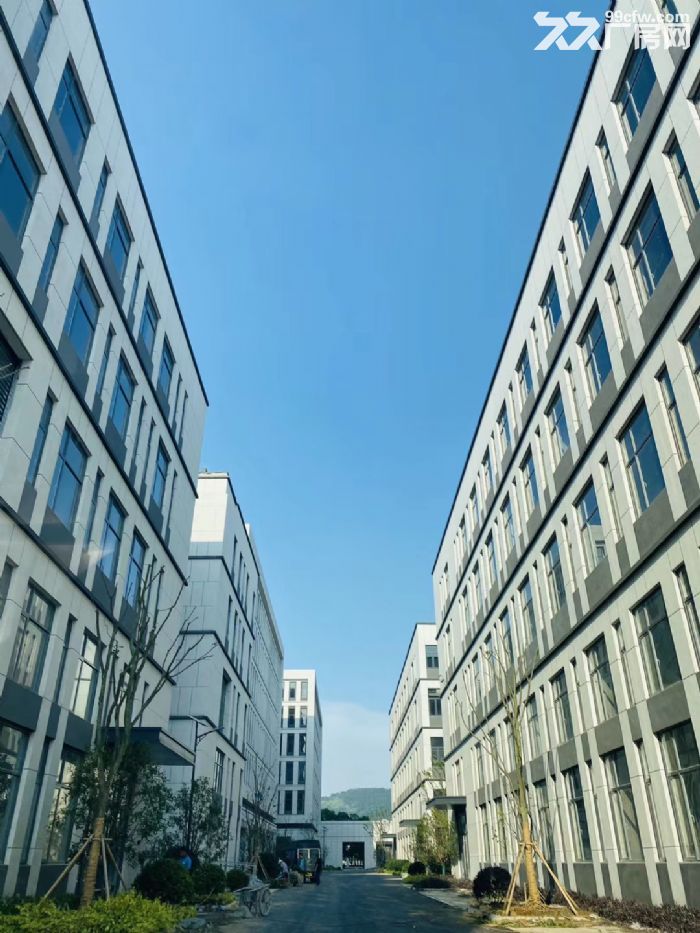 南通金沙高新區(qū)標(biāo)準(zhǔn)獨棟廠房出售出租-圖(1)