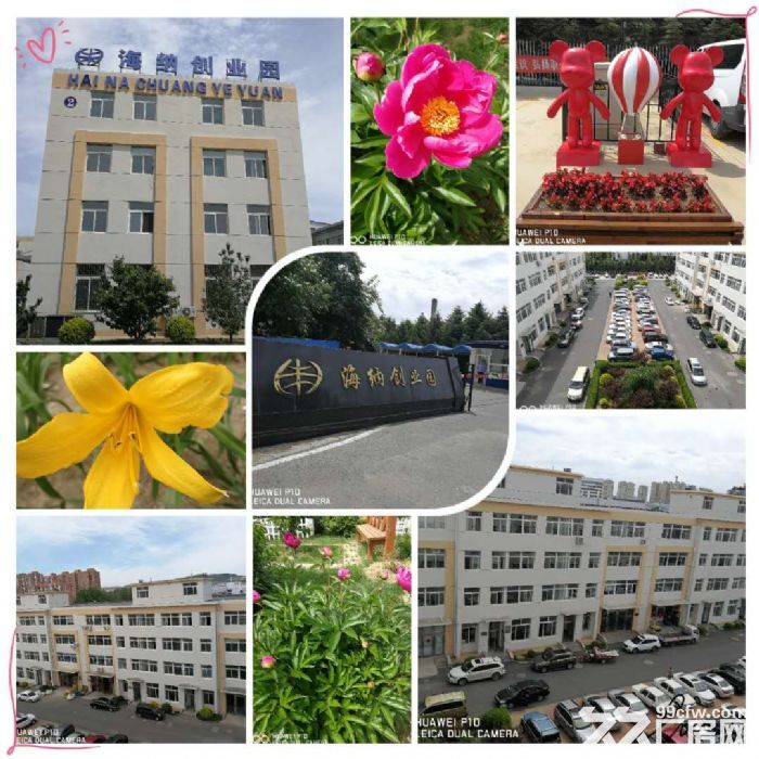 大連開發(fā)區(qū)雙D港廠小戶型廠房對外招租-圖(1)