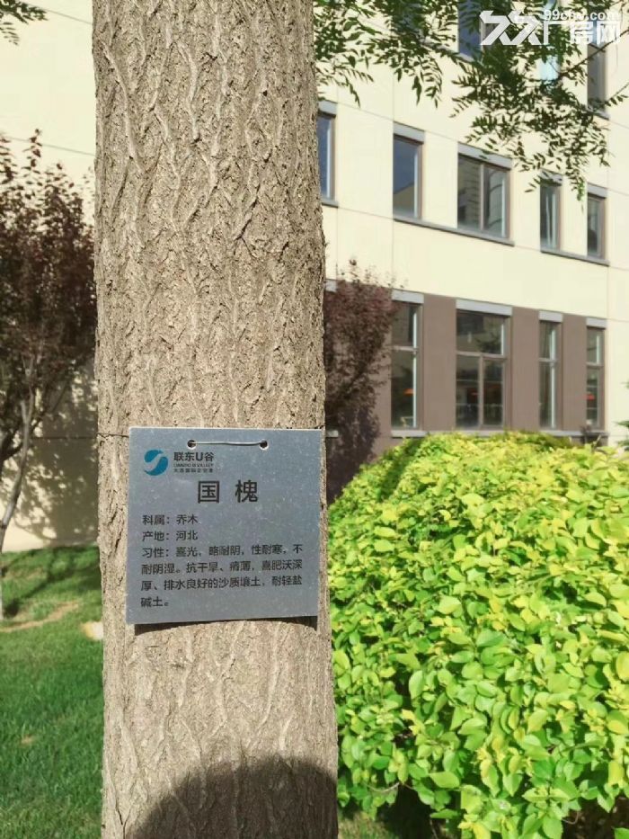 800平廠房大孤山 港興大街 振鵬 灣里高城山 大黑山 松嵐-圖(2)