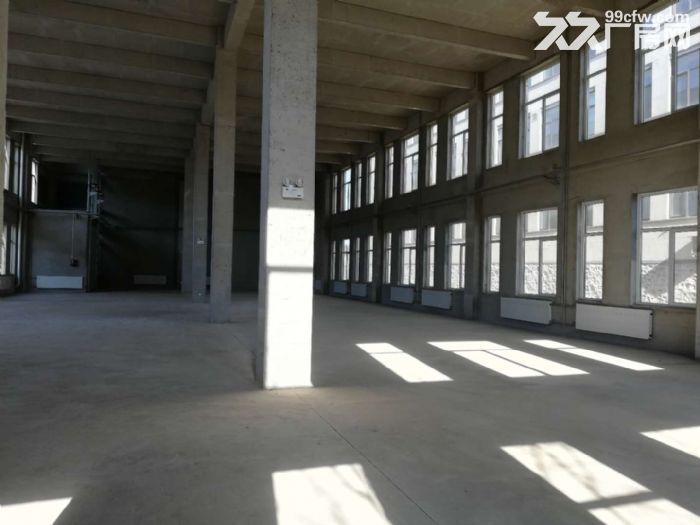 800平廠房大孤山 港興大街 振鵬 灣里高城山 大黑山 松嵐-圖(7)
