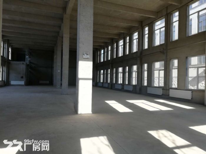 800平廠房大孤山 港興大街 振鵬 灣里高城山 大黑山 松嵐-圖(6)