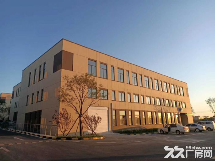 港興大街 振鵬工業區 全新可辦產權廠房出售500平-圖(4)