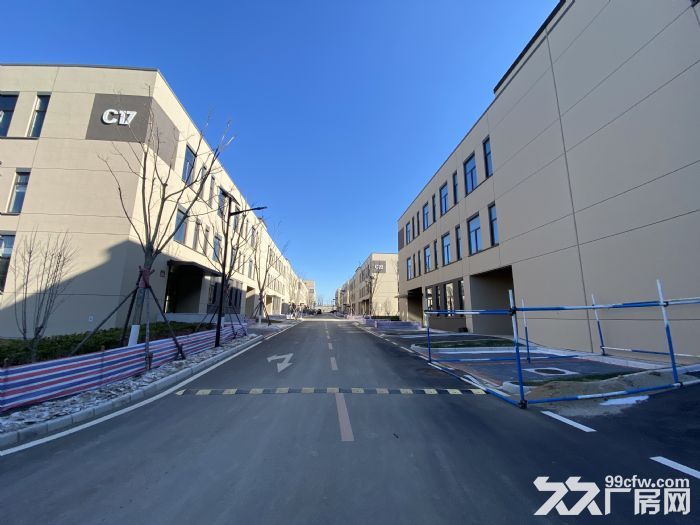 港興大街 振鵬工業區 全新可辦產權廠房出售500平-圖(7)