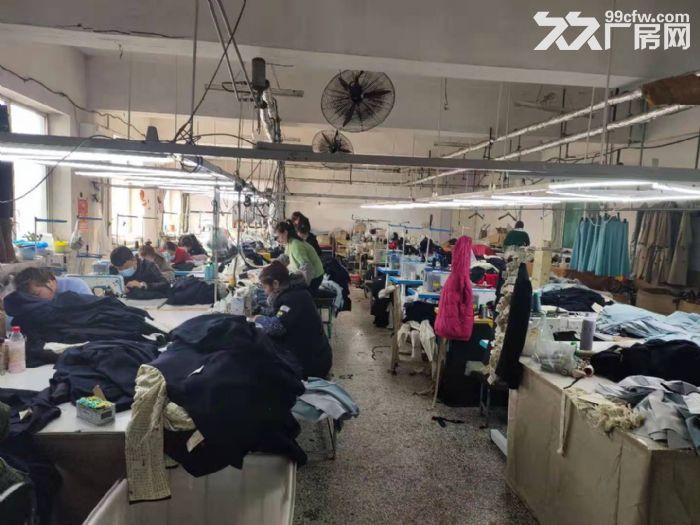 金紡市場附近一層350平米廠房出租-圖(2)