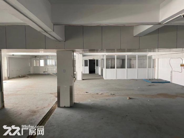 大連匯聚德肉制品有限公司破產(chǎn)清算項(xiàng)目-圖(3)
