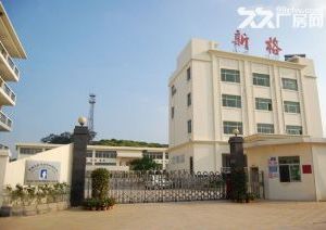 武汉高新区