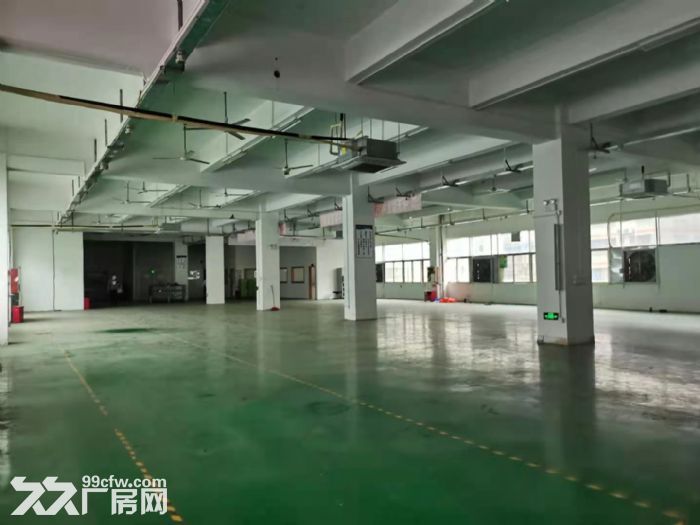 深圳龙华大浪新出独栋6840平工业厂房出租。-图（4）