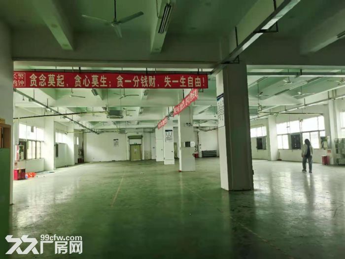 深圳龙华大浪新出独栋6840平工业厂房出租。-图（8）