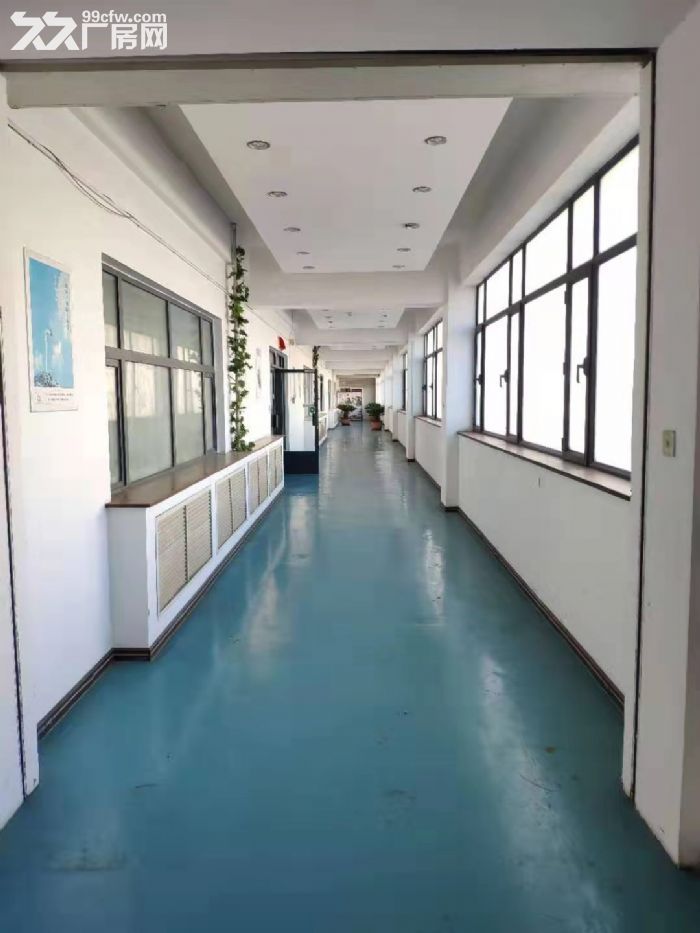 出租大連開發區雙D港獨棟廠房??動力電??產權證-圖(2)