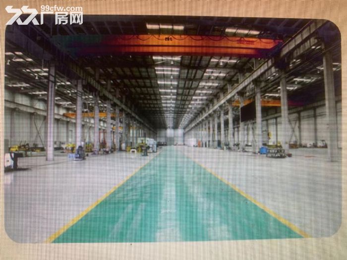 4跨鋼結構253米長廠房,檐高14.5米,手續齊全,可售可租-圖(3)