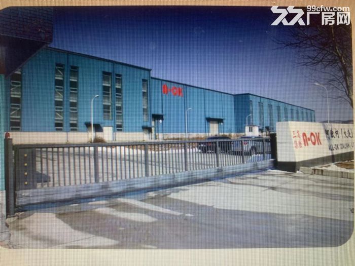 4跨鋼結構253米長廠房,檐高14.5米,手續齊全,可售可租-圖(4)