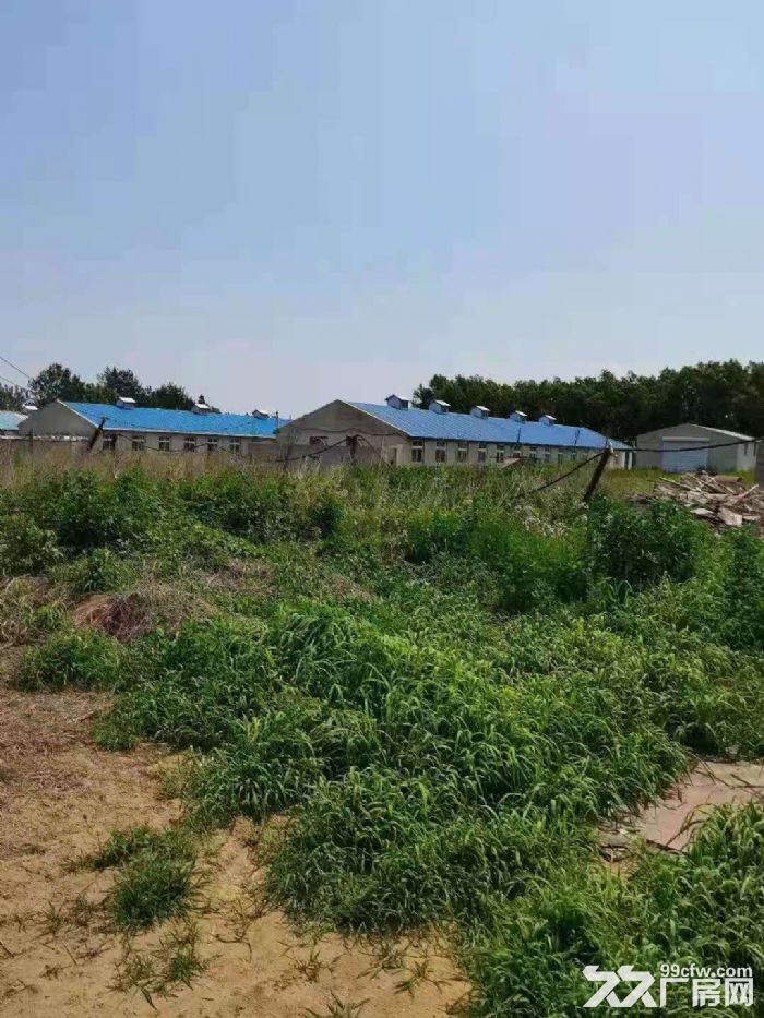 出租金州登沙河阿爾濱村農場雞舍及場地-圖(1)