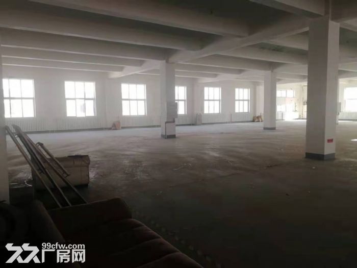 開發區一樓500?1000平小面積場地-圖(3)