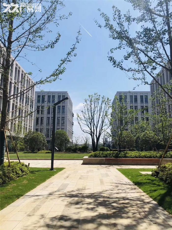 南通蘇通大橋旁雙層廠房出售-圖（1）