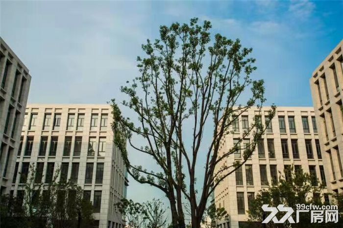 南通蘇通大橋旁雙層廠房出售-圖（4）