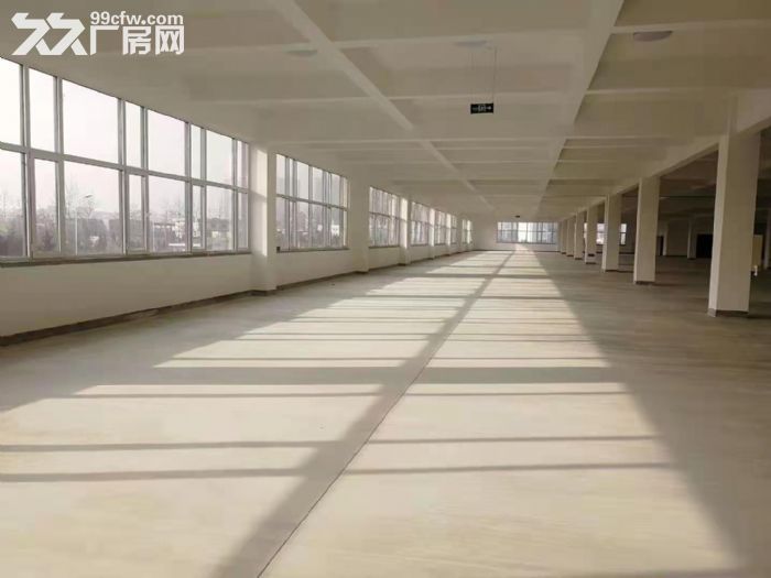 出租開發區8100平新建廠房-圖(2)
