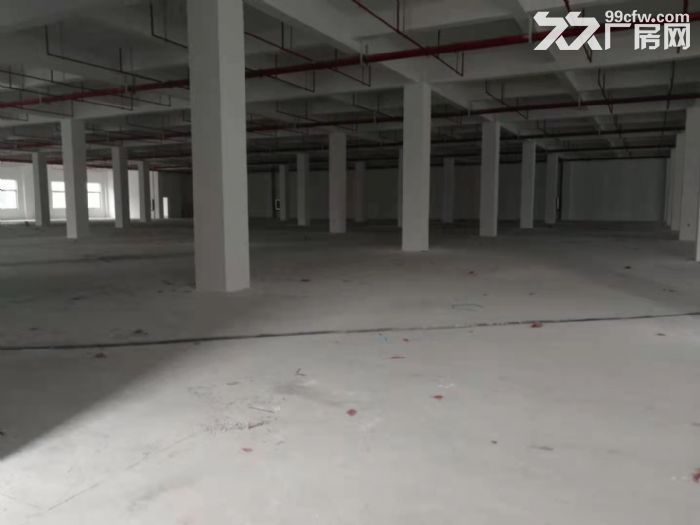 南通開發區??蘇通園區2700方廠房出租-圖(4)