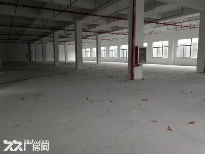 南通開發區??蘇通園區2700方廠房出租-圖(5)