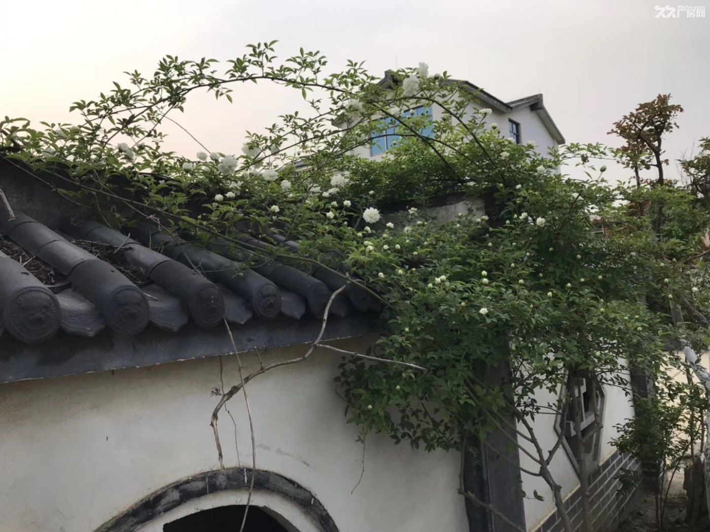 自己自建廠房國有土地手續齊全-圖（5）