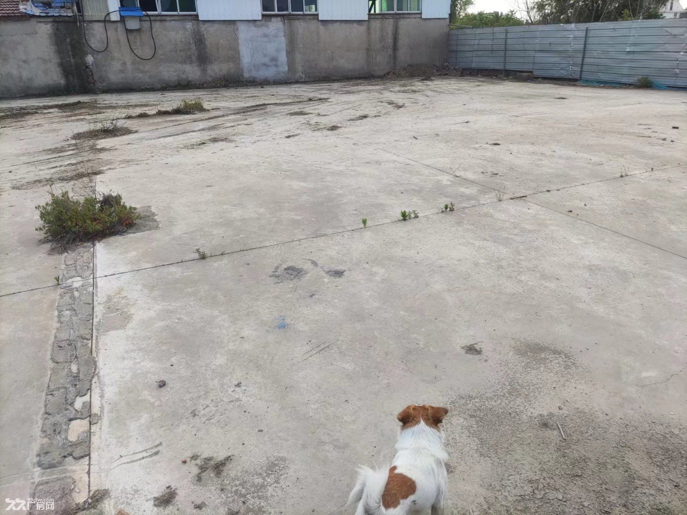 680-2280平米場地出租倉庫水電齊全-圖(8)