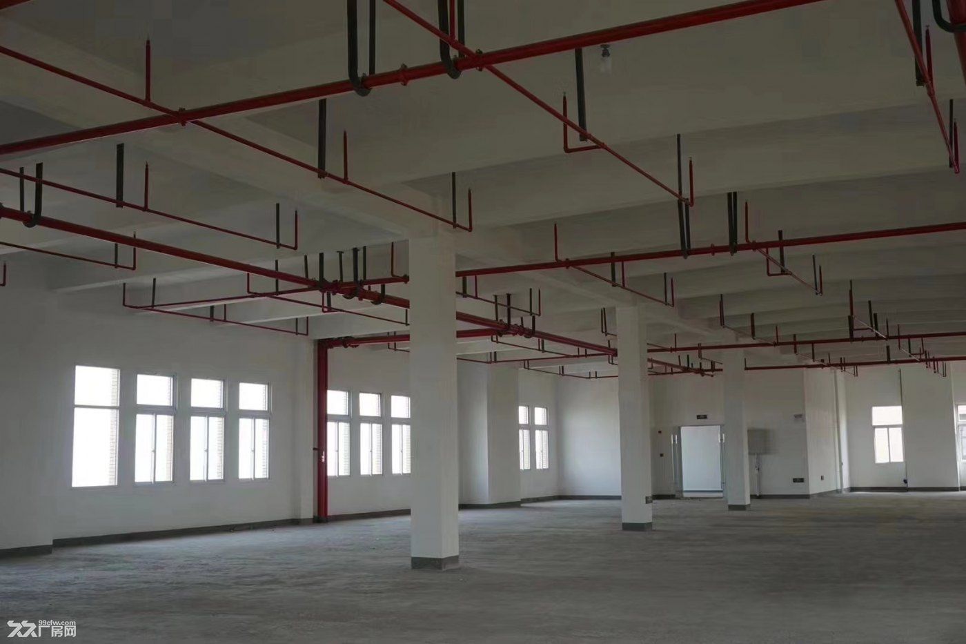 高新區廠房 【價格便宜】 配套完善 環境好 帶底樓可分租-圖(2)