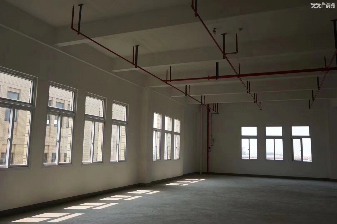 高新區廠房 【價格便宜】 配套完善 環境好 帶底樓可分租-圖(3)