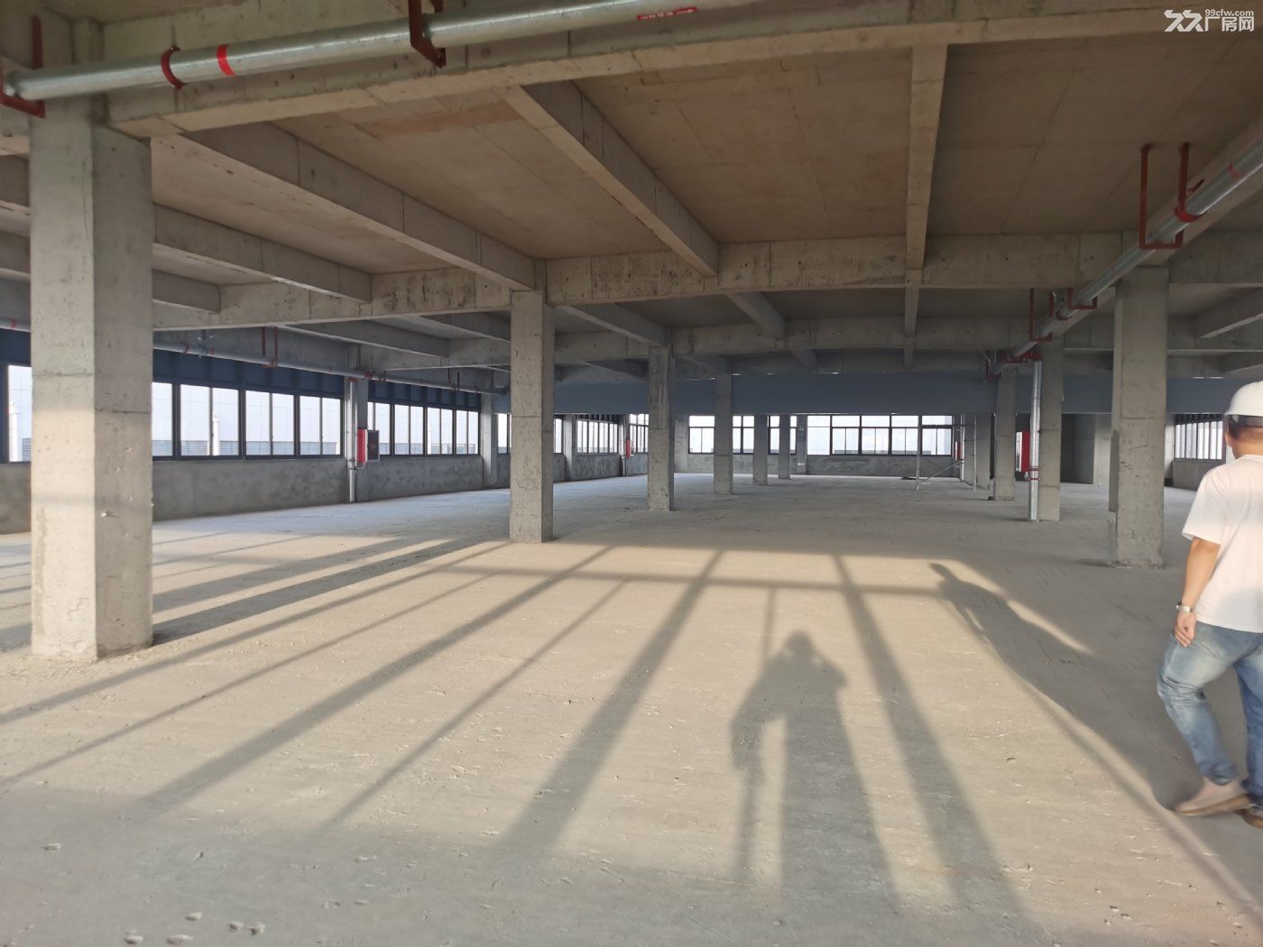 出售獨門獨院廠房 2780元每平起 50年產權 入園門檻低-圖(4)