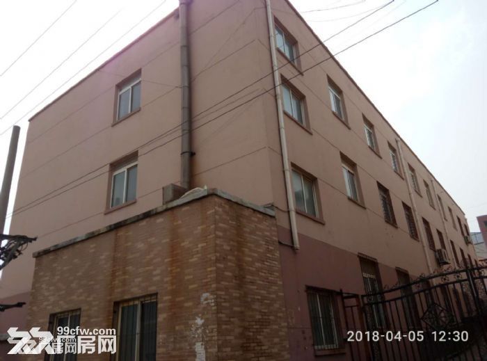 出租姚家工業園食品廠房-圖(3)