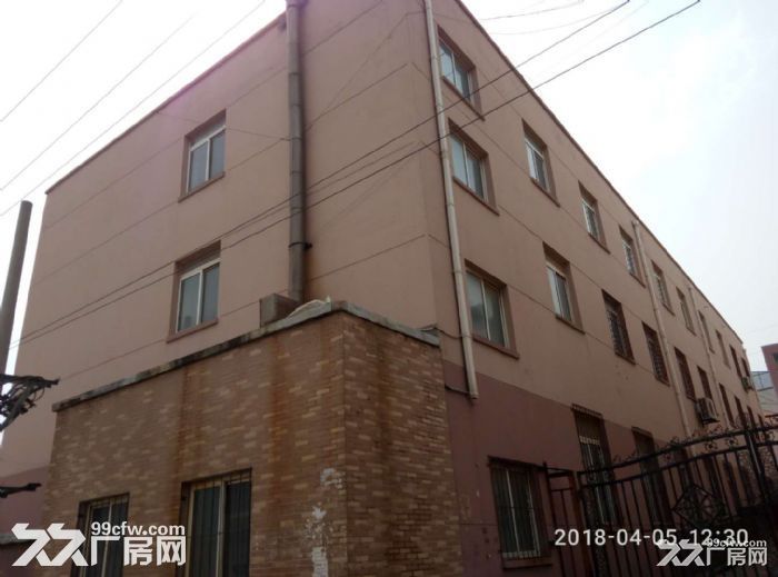 租售廠房姚家工業(yè)區(qū)2000平-圖(3)
