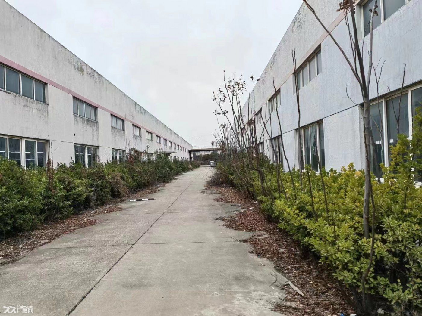 連云港海州區(qū)廠房招商急售-圖(1)