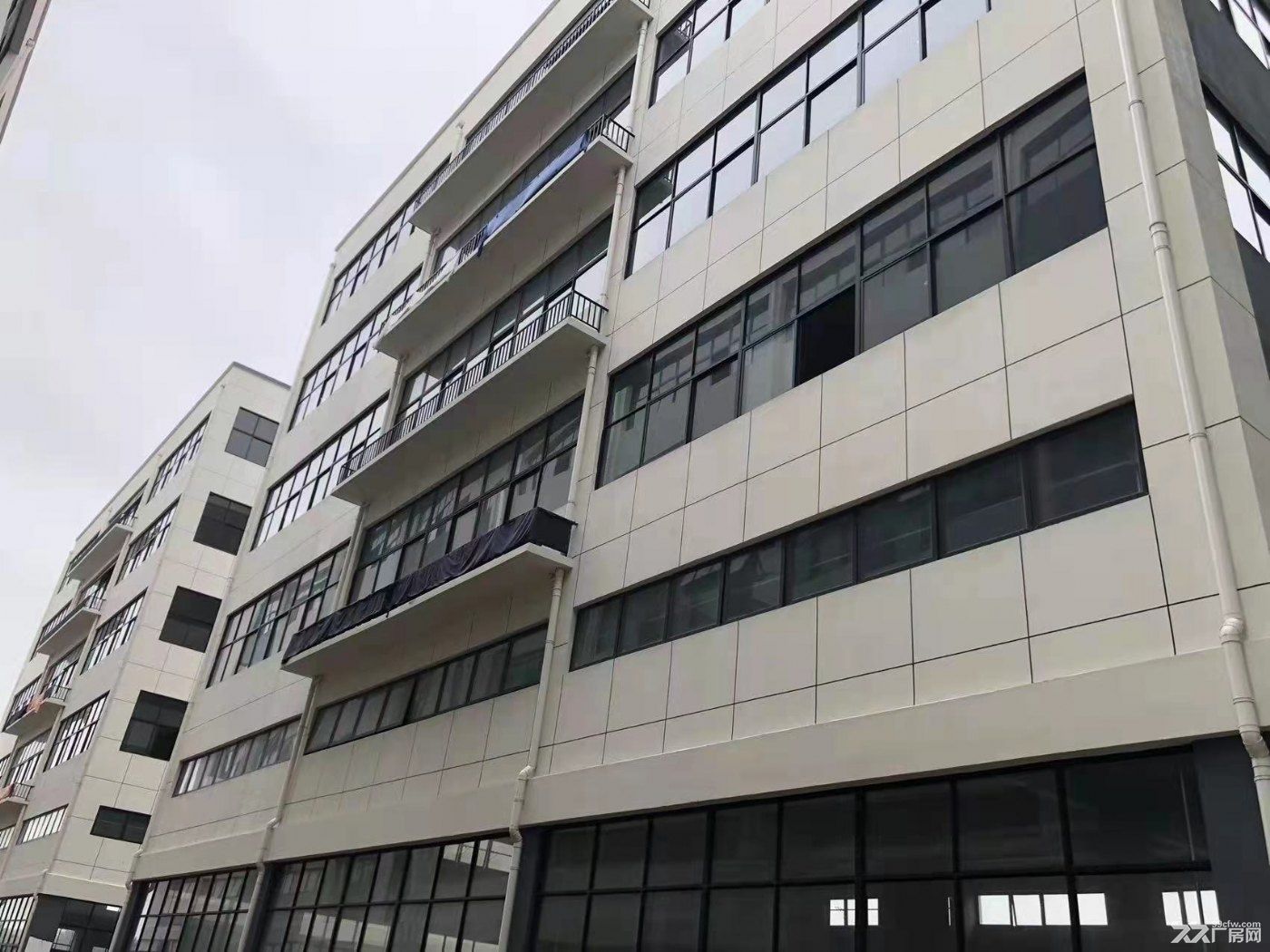 花果山機場 產業園 鋼結構廠房-圖(2)