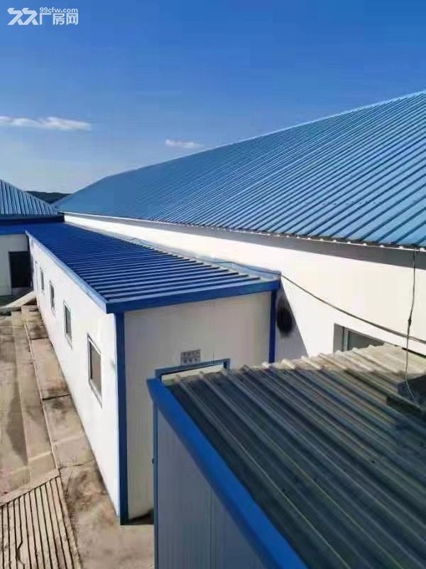 莊河城山2227平廠房出租!出售!價(jià)格可談-圖(3)
