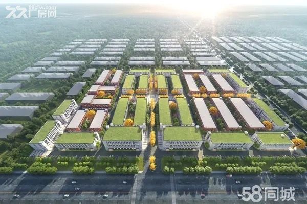 海洲區全新廠房出售 可按揭-圖(3)