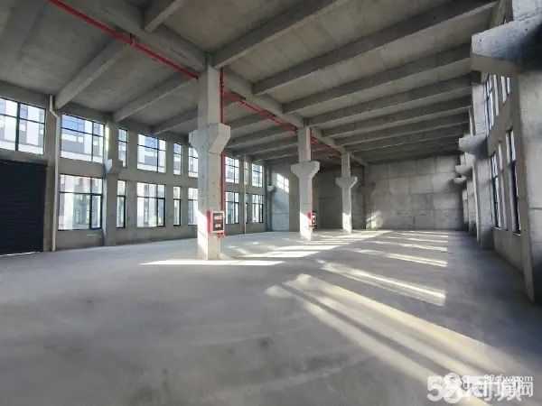 海洲區全新廠房出售 可按揭-圖(4)
