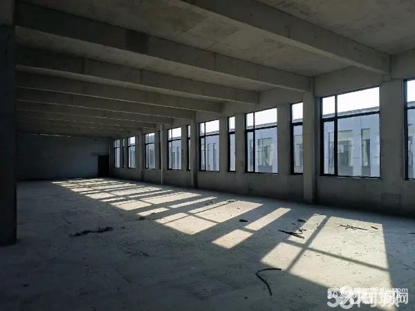 海洲區全新廠房出售 可按揭-圖(2)