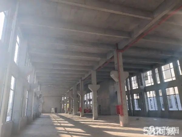 郁洲南路全新廠房出售 有產權-圖(4)