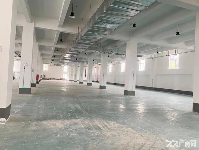 新建23000平廠房倉庫出租-圖（4）