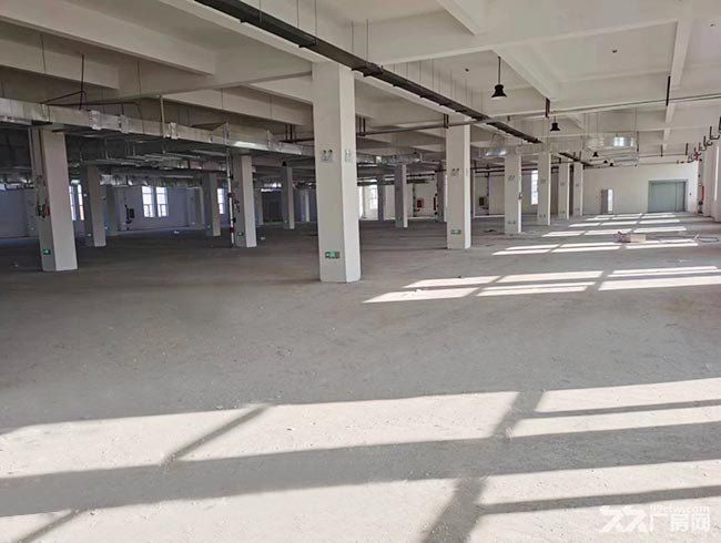 新建23000平廠房倉庫出租-圖（6）