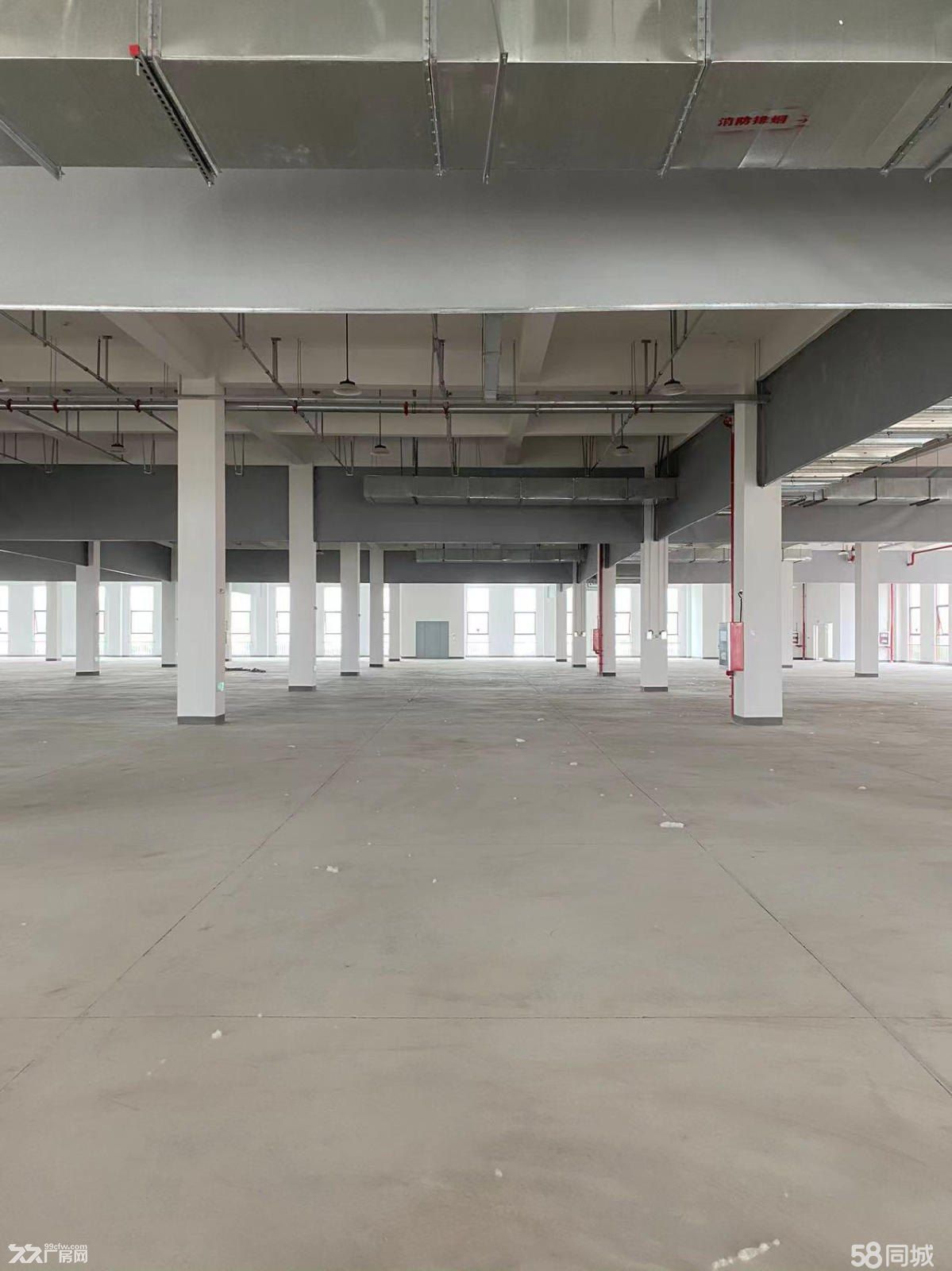 越江路全新廠房出租20000平(可分租)-圖(1)