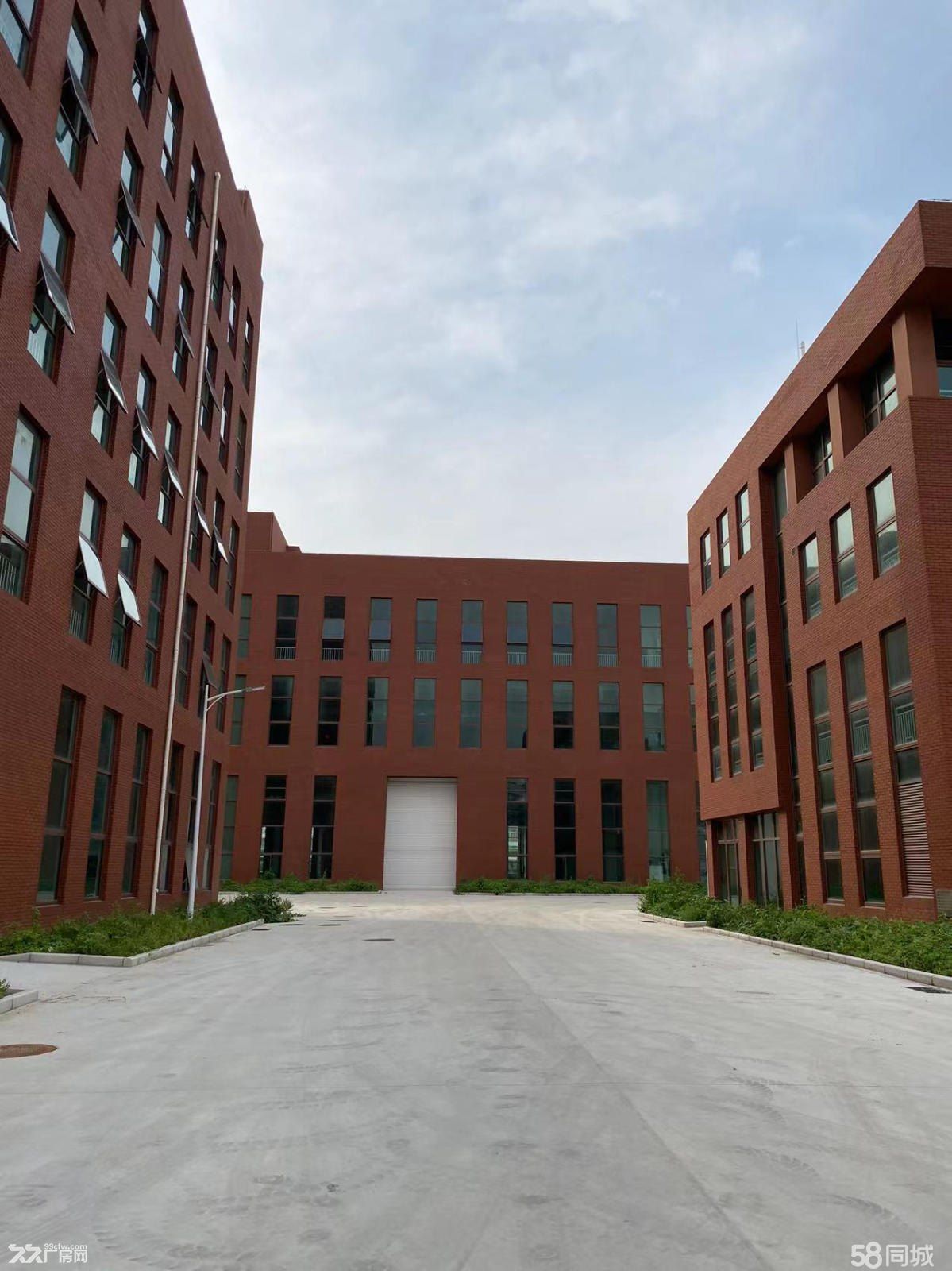 越江路全新廠房出租20000平(可分租)-圖(3)