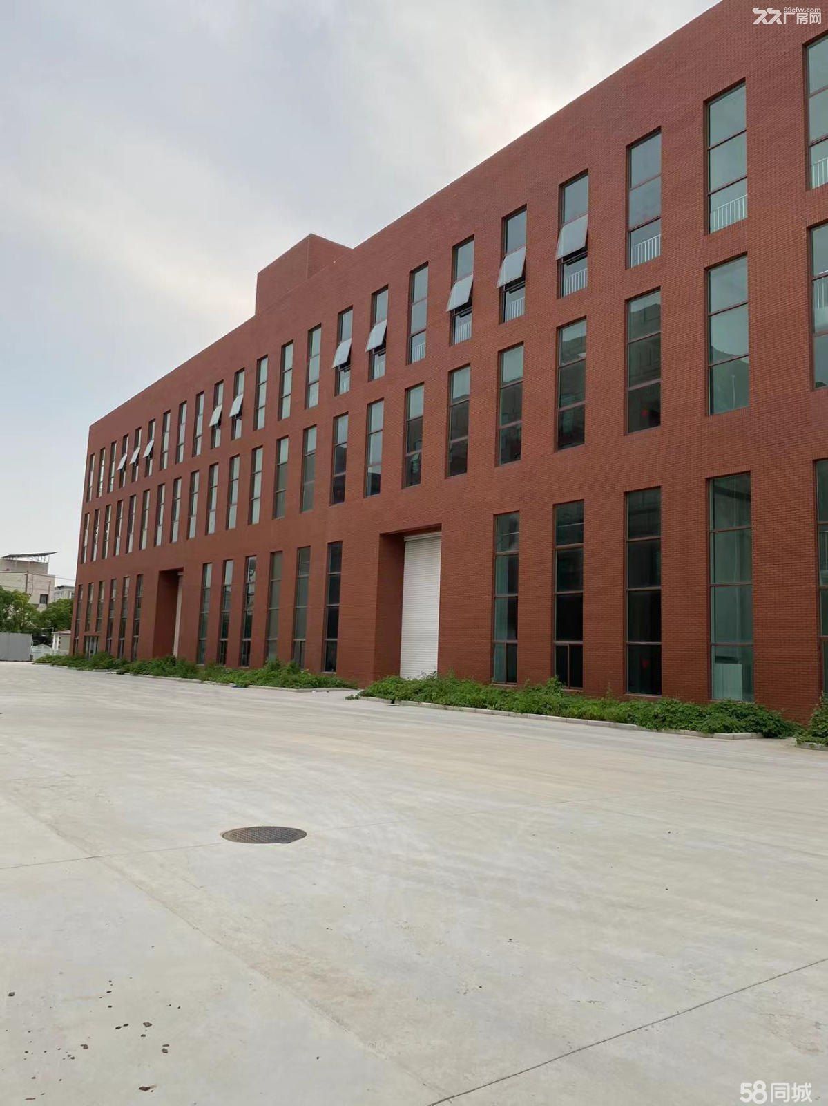 越江路全新廠房出租20000平(可分租)-圖(5)