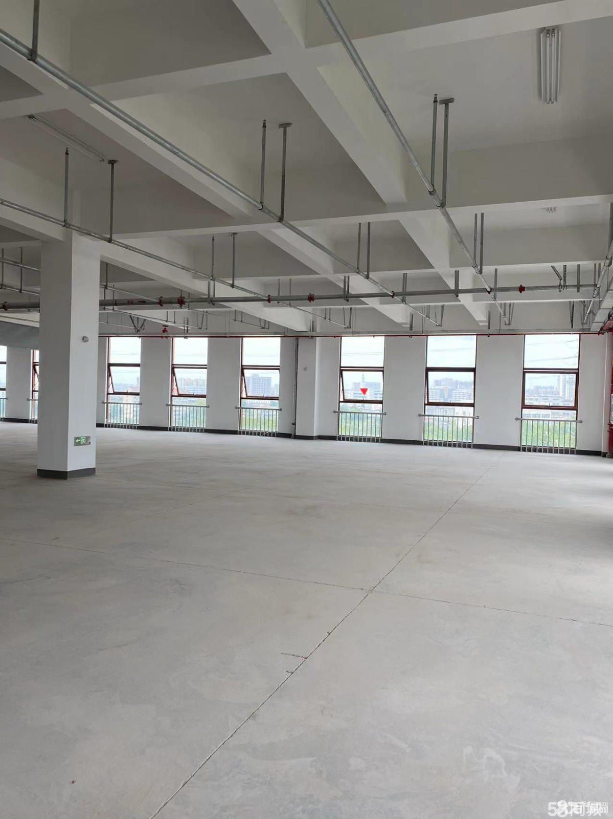 越江路全新廠房出租20000平(可分租)-圖(6)